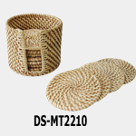 DS-MT2210