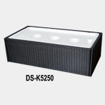 DS-K5250