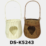 DS-K5243
